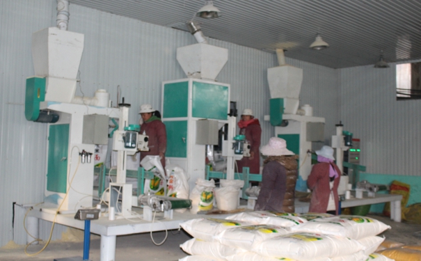 日产30吨玉米好色先生AV在线多少钱?点击在线咨询，即刻获取优惠报价