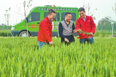 好色先生TV免费下载化肥定制化生产让经销商扮演新角色